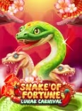 Snake Of Fortune game